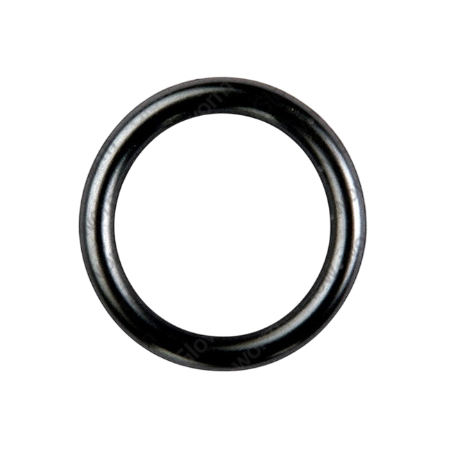 Glowworm O-Ring 0020026404