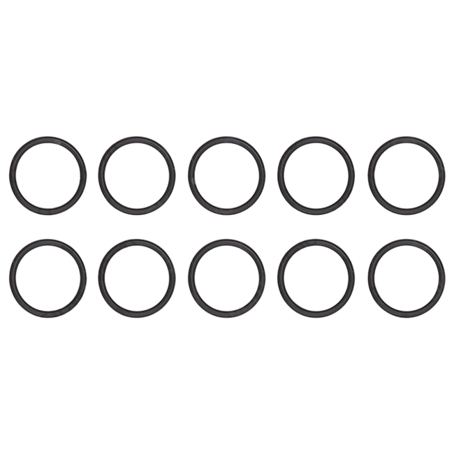 Glowworm O-Ring (Pk10) 0020097224