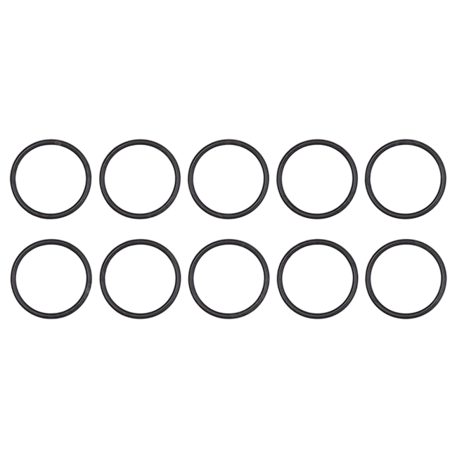 Glowworm O-Ring (Pk10) 0020097226