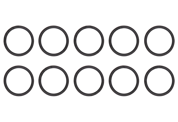 Glowworm O-Ring (X10) 0020118186