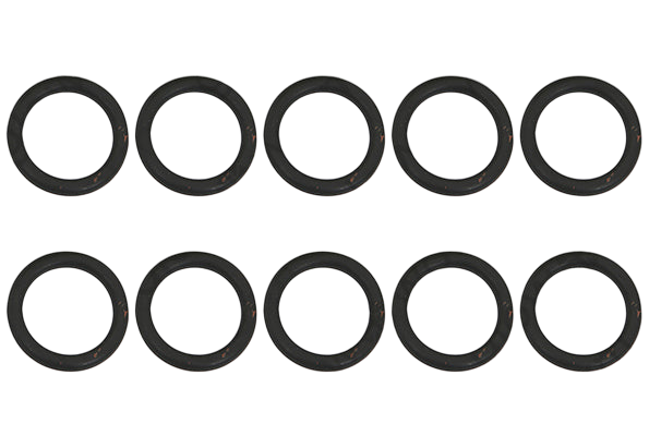 Glowworm O-Ring (Pk10) 0020195272