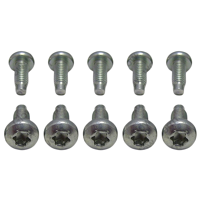 Glowworm Screw (Pk10) 0020195526