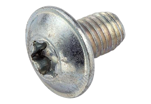 Vaillant Screw - Burner 105905