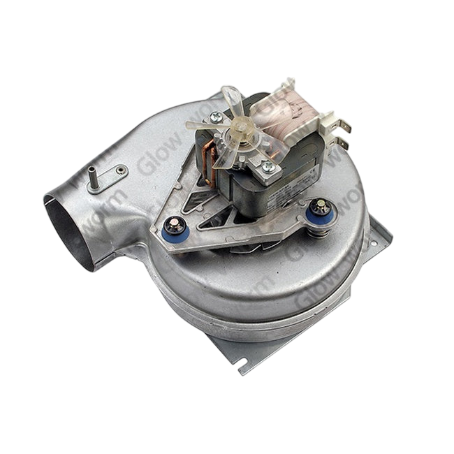 Glowworm Fan 2000800478