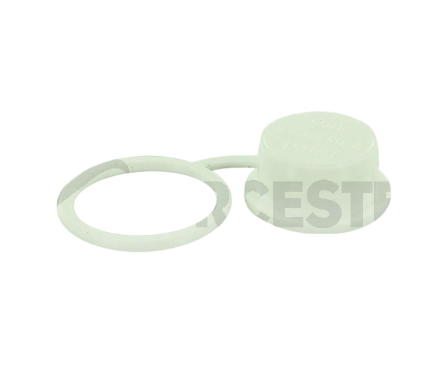 Worcester Push-In Plug 87161112530