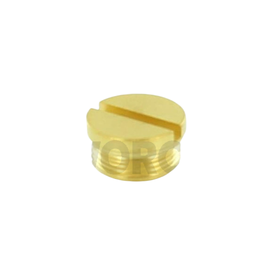 Worcester Brass Screw 87161124100