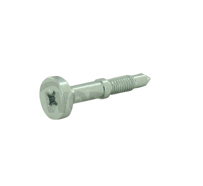 Worcester Screw M5 x 32 87167716870