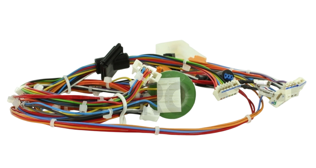 Worcester Harness 87186631690