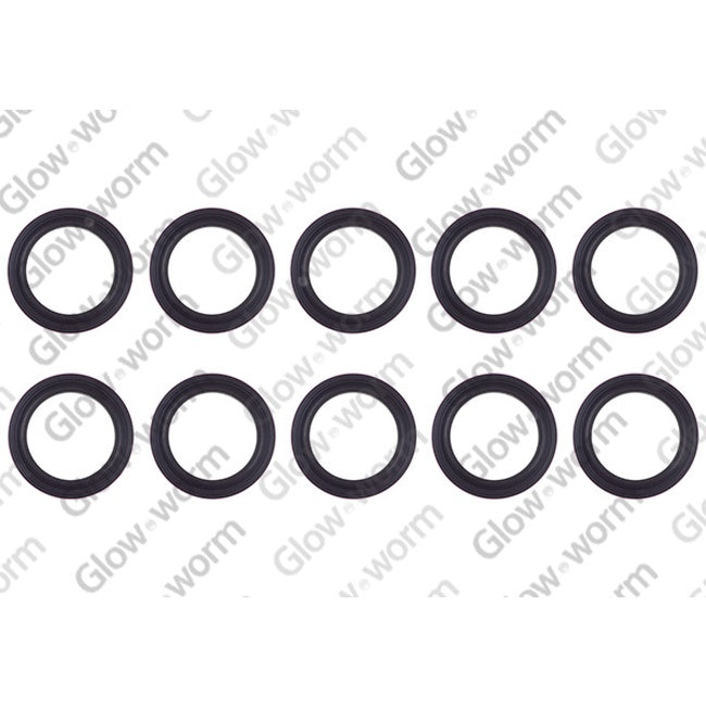 Glowworm Sealing Ring 0020014182