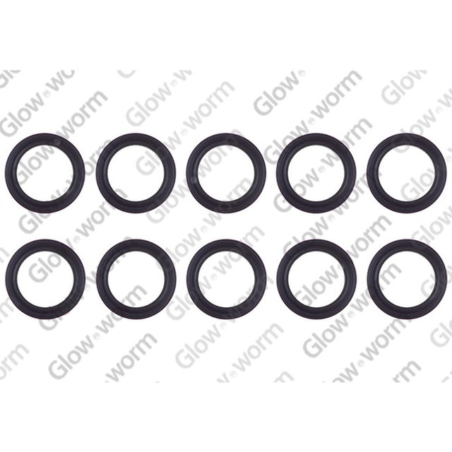 Glowworm Sealing Ring 0020014182