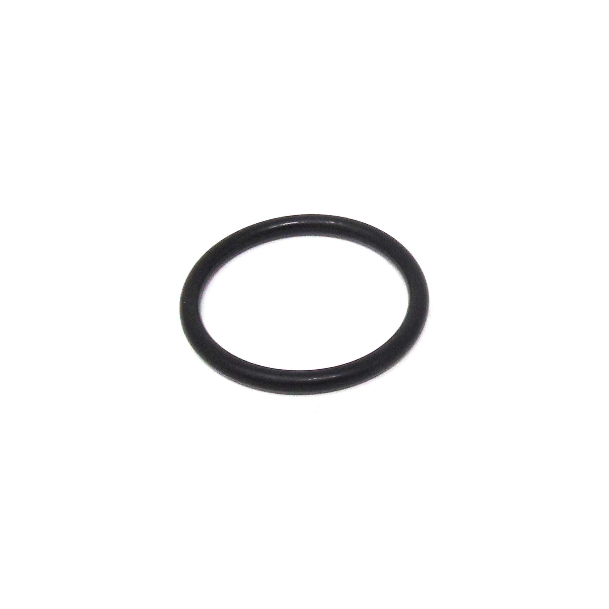 Glowworm O Ring 0020020724