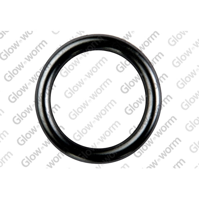 Glowworm O-Ring 0020026404