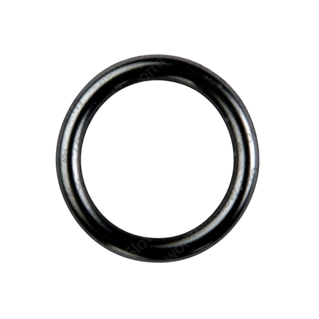 Glowworm O-Ring 0020026404