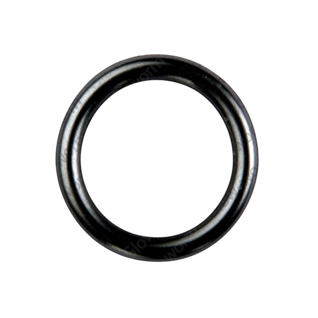 Glowworm O-Ring 0020026404