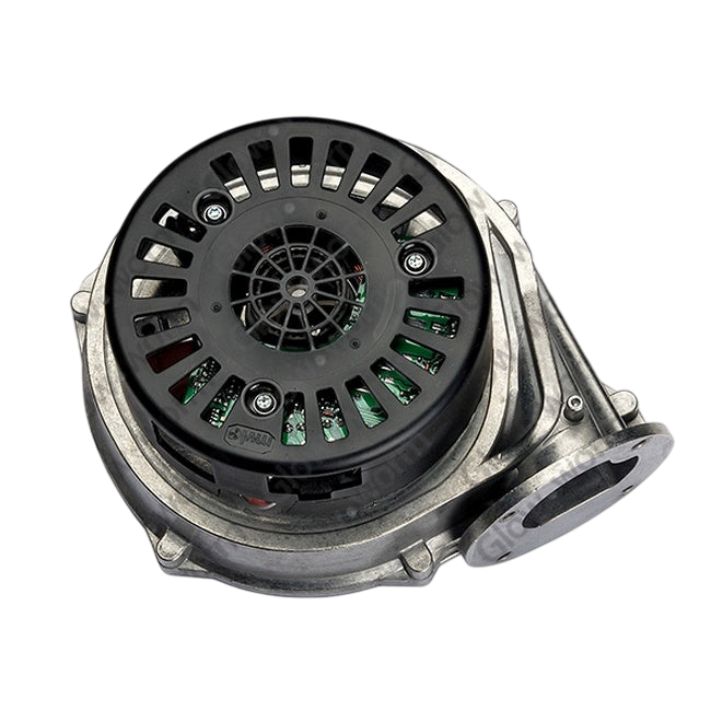 Glowworm Fan 0020037309