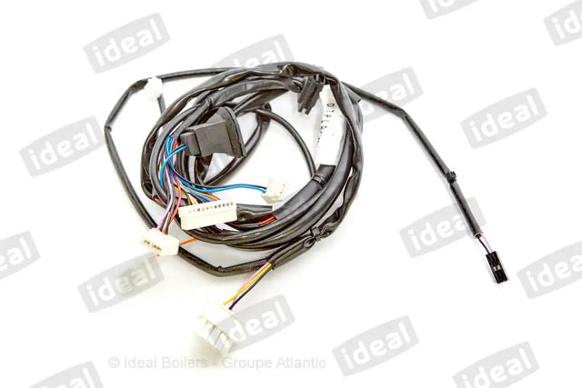 Ideal Extra Low Voltage Safety Harness 177554