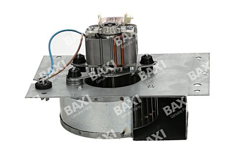 Baxi Fan & Motor 409573