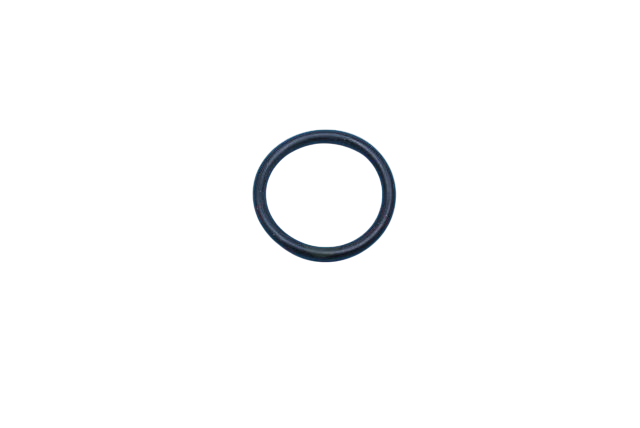 Ariston O-Ring 571965
