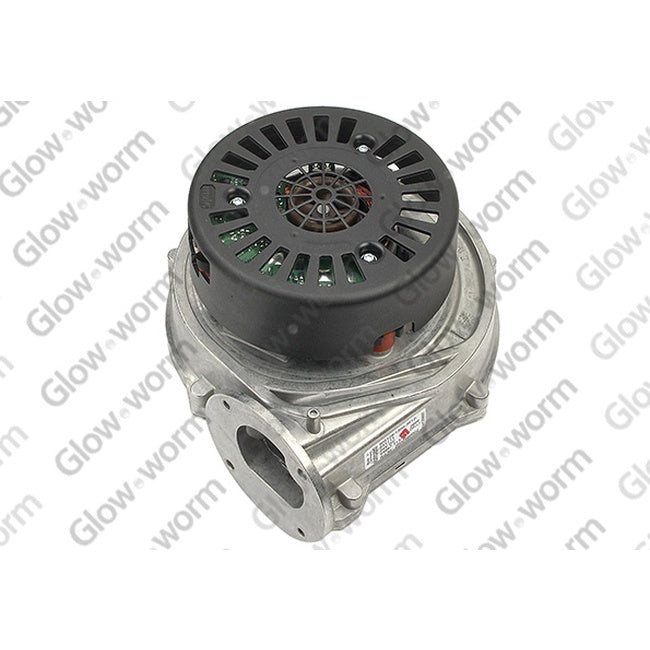 Glowworm Fan 801645