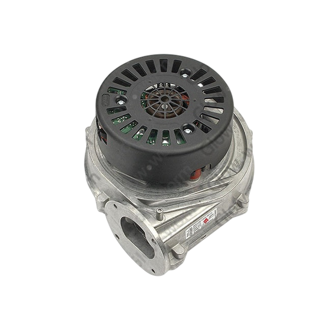 Glowworm Fan 801645