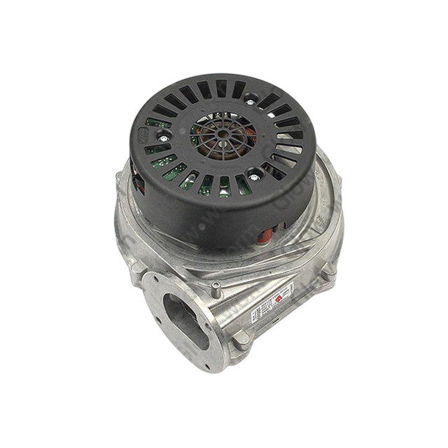 Glowworm Fan 801645