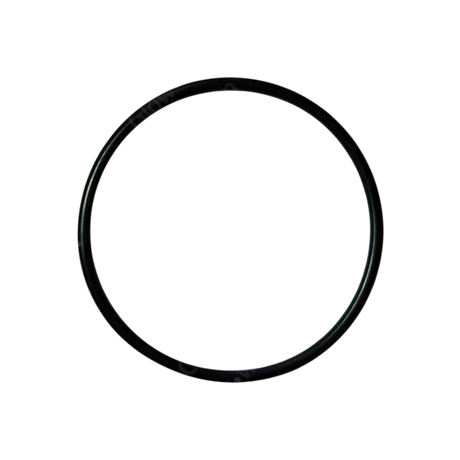 Glowworm O-Ring for Venturi Plate 801648