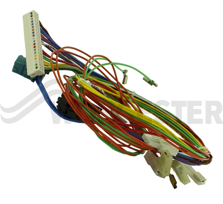 Worcester Harness Main 87161058760