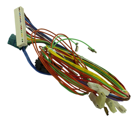 Worcester Harness Main 87161058760