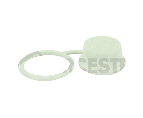 Worcester Push-In Plug 87161112530
