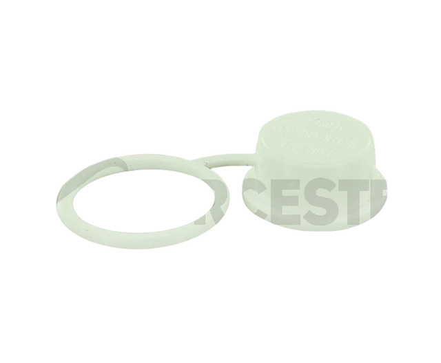 Worcester Push-In Plug 87161112530
