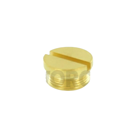 Worcester Brass Screw 87161124100