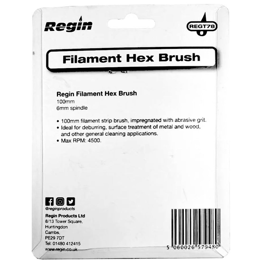 Regin Filament Hex Cleaning Brush 100mm (6mm spindle) REGT78